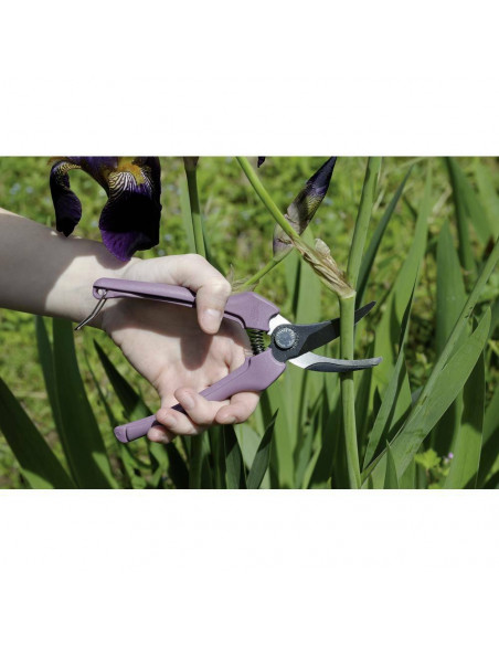 Sécateur rainbow Lilas + Étui | P123-LILAC-B6 - Bahco