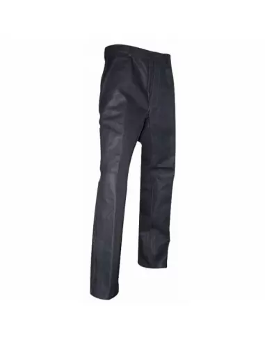 Pantalon braguette boutons Gris | 1733 PLACO - LMA